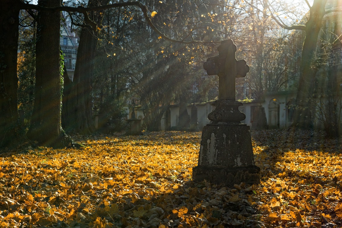 Slideshow image